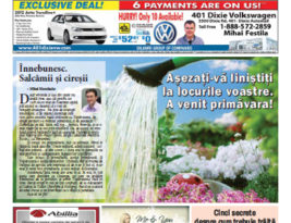 Înnebunesc. Salcâmii şi cireşii – 12 aprilie 2013